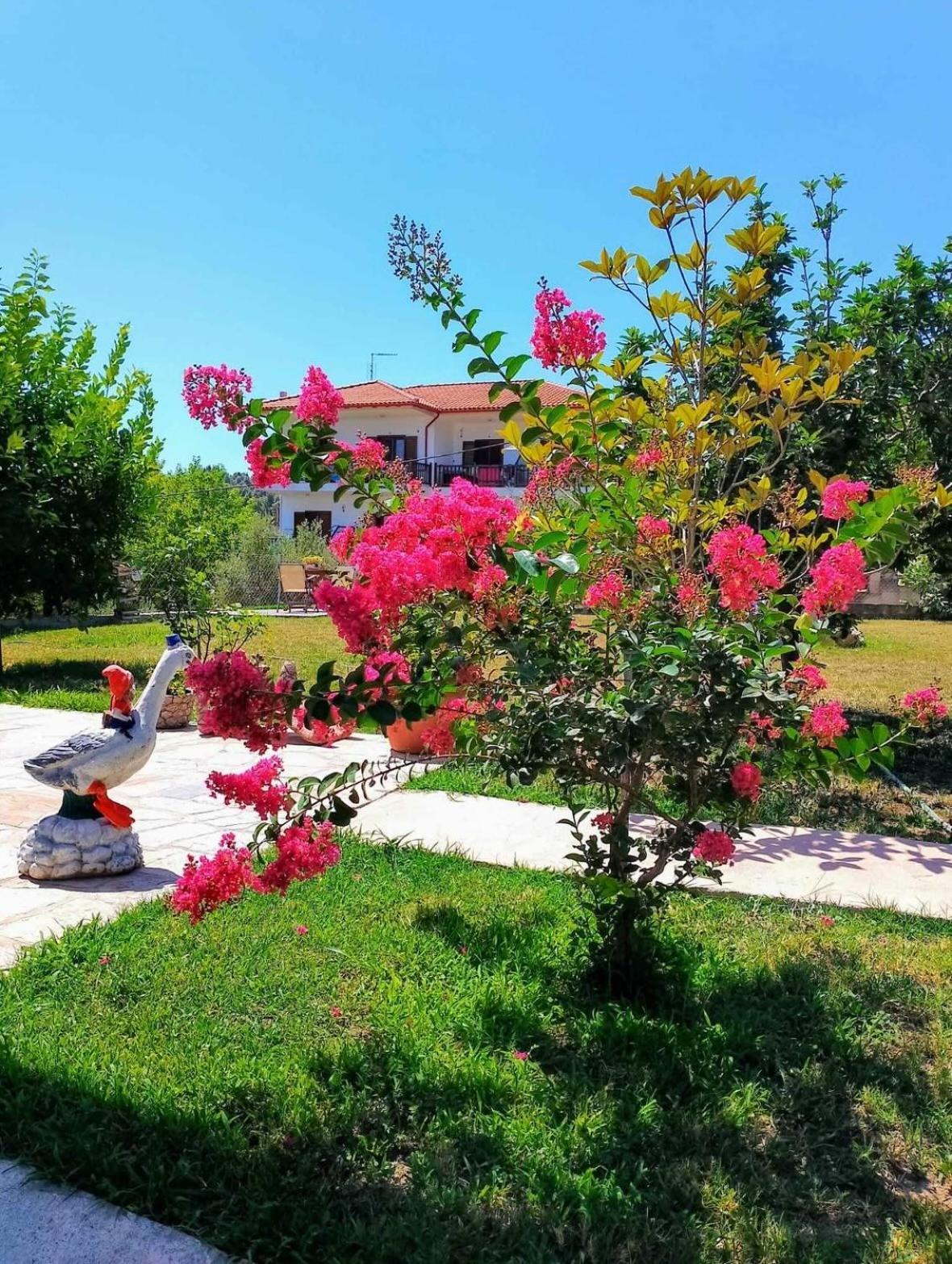 Alexandra'S Garden Apartment Paliouri Exterior photo